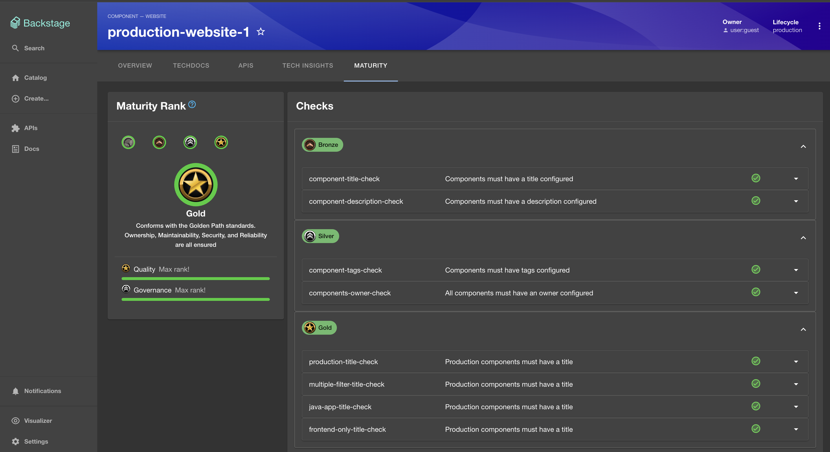 Maturity Summary Page Example (Gold Standard)