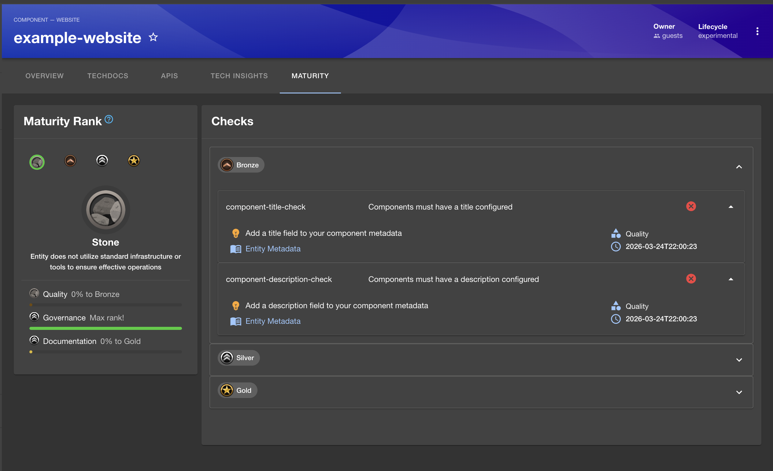 Maturity Summary Page Example (Detailed)